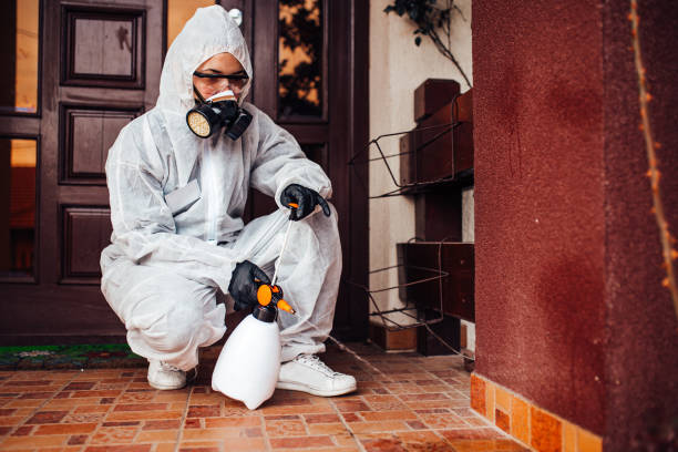 Attic and Crawl Space Rodent Treatment in Douglas
